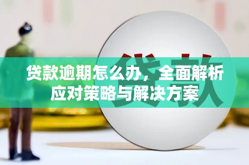 云和贷款逾期怎么办，全面解析应对策略与解决方案
