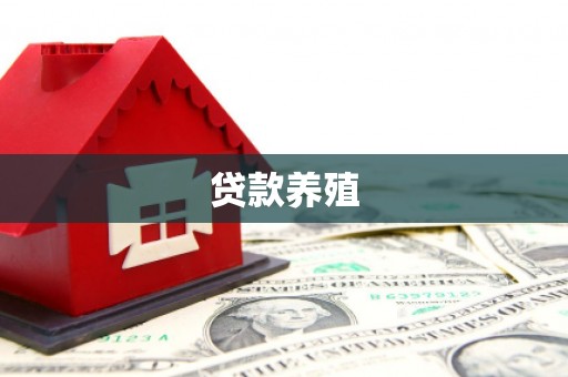 云和贷款养殖