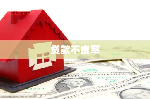 云和贷款不良率