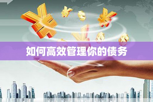 云和如何高效管理你的债务