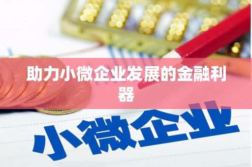 云和助力小微企业发展的金融利器