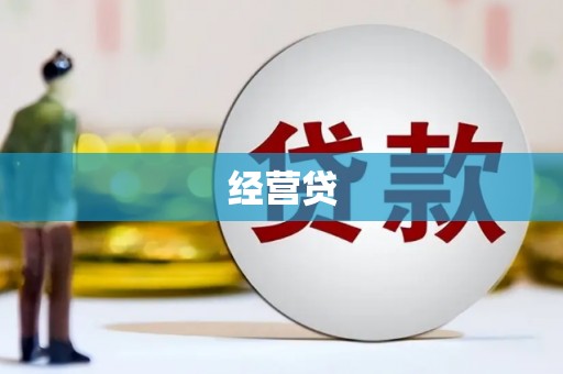 云和经营贷