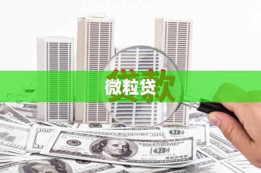 云和微粒贷