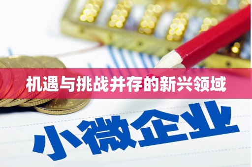 云和机遇与挑战并存的新兴领域