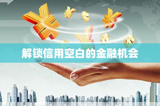 云和解锁信用空白的金融机会