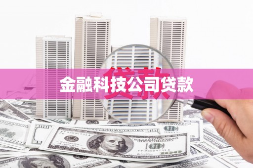 云和金融科技公司贷款