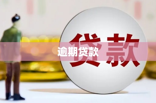 云和逾期贷款
