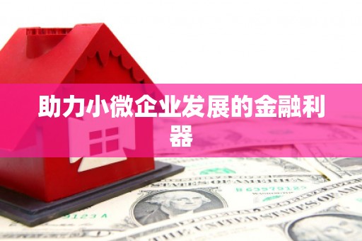 云和助力小微企业发展的金融利器