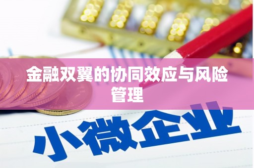 云和金融双翼的协同效应与风险管理