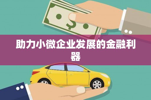云和助力小微企业发展的金融利器
