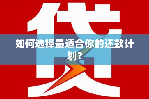 云和如何选择最适合你的还款计划？