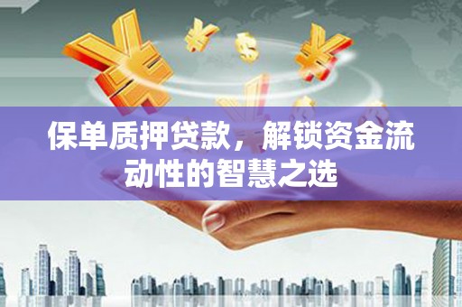 云和保单质押贷款，解锁资金流动性的智慧之选