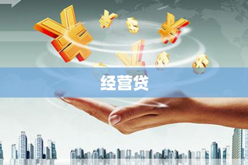 云和经营贷