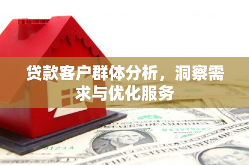 云和贷款客户群体分析，洞察需求与优化服务